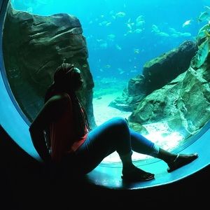 Meet your Posher, Joyce